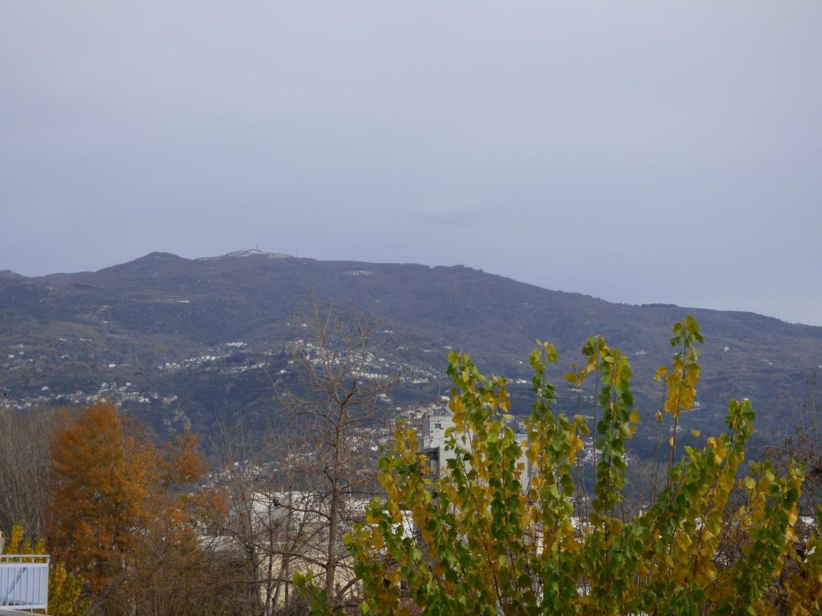Old City View Apartment Volos Eksteriør billede
